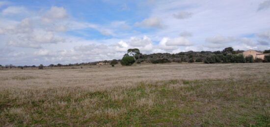 Terrain à bâtir à Bessan, Occitanie