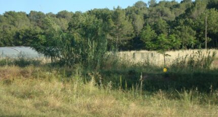 Pierrefeu-du-Var Terrain à bâtir - 2445101-11080annonce120260302wFGsZ.jpeg Maisons Open