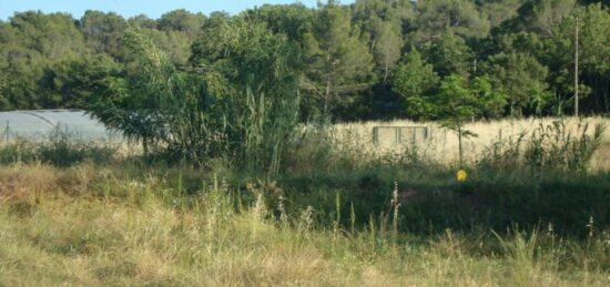 Terrain à bâtir à Pierrefeu-du-Var, Provence-Alpes-Côte d'Azur