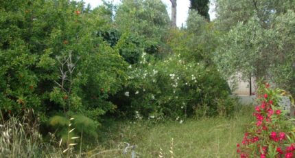 Pierrefeu-du-Var Terrain à bâtir - 2445101-11080annonce3202603021WroV.jpeg Maisons Open