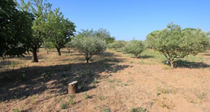 Régusse Terrain à bâtir - 2479190-11723annonce120260408NGr9O.jpeg Maisons Open