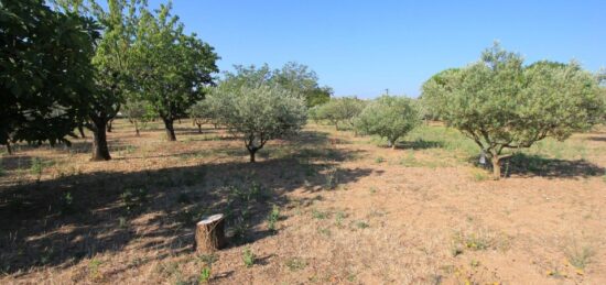 Terrain à bâtir à Régusse, Provence-Alpes-Côte d'Azur