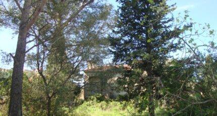 La Crau Terrain à bâtir - 2445061-11080annonce120260302btPnC.jpeg Maisons Open