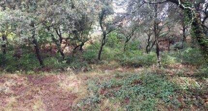 Sainte-Anastasie-sur-Issole Terrain à bâtir - 2451396-11137annonce220260309zWOT9.jpeg Maisons Open