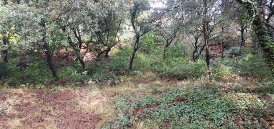 Terrain à bâtir à , Var