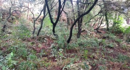 Sainte-Anastasie-sur-Issole Terrain à bâtir - 2451396-11137annonce420260309JfvF2.jpeg Maisons Open