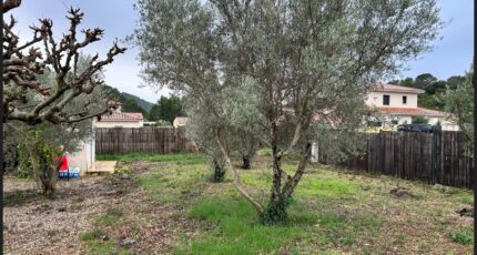 Clermont-l'Hérault Terrain à bâtir - 2479390-10896annonce220260408rgDKM.jpeg Maisons Open