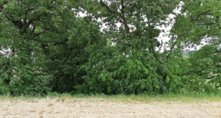 Montjoire Terrain à bâtir - 2479511-5604annonce520260408x5JTE.jpeg Maisons Open