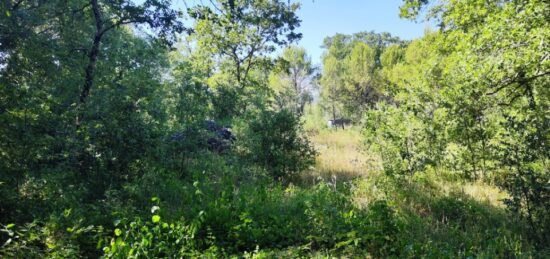 Terrain à bâtir à Néoules, Provence-Alpes-Côte d'Azur