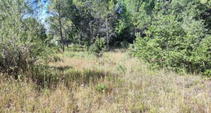 Néoules Terrain à bâtir - 2479542-11039annonce220260408PWzKE.jpeg Maisons Open