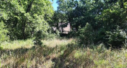 Néoules Terrain à bâtir - 2479542-11039annonce320260408CBm1f.jpeg Maisons Open