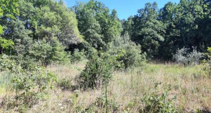 Néoules Terrain à bâtir - 2479542-11039annonce420260408yXDy9.jpeg Maisons Open