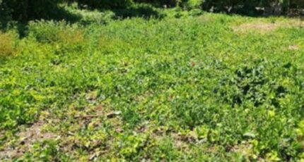 Aunay-sous-Auneau Terrain à bâtir - 2479583-11790annonce1202604081gqQK.jpeg Maisons Open