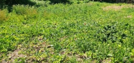 Terrain à bâtir à Aunay-sous-Auneau, Centre-Val de Loire