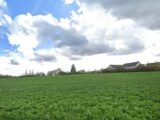  2432333-9897annonce1202402196vf67.jpeg Maisons Open