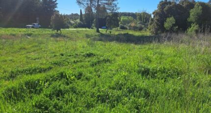 Lambesc Terrain à bâtir - 2479641-11041annonce1202604087sBgi.jpeg Maisons Open