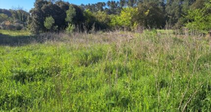 Lambesc Terrain à bâtir - 2479641-11041annonce420260408GtTAR.jpeg Maisons Open