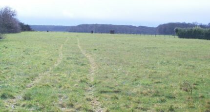 Bonlier Terrain à bâtir - 2478979-3326annonce120260408ud14A.jpeg Maisons Open