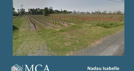 Saint-Savin Terrain à bâtir - 2479622-11516annonce1202604087Ruoh.jpeg Maisons Open