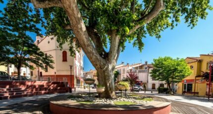 Bages Terrain à bâtir - 2479751-4671annonce120260409m1B3y.jpeg Maisons Open