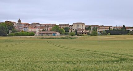 Malviès Terrain à bâtir - 2415735-11456annonce120260202TOWid.jpeg Maisons Open