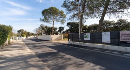 Castries Terrain à bâtir - 2383656-3243annonce120250917JFafV.jpeg Maisons Open