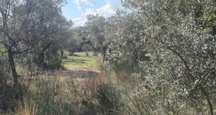 La Bastide-des-Jourdans Terrain à bâtir - 2479708-9917annonce120260409C9yeM.jpeg Maisons Open