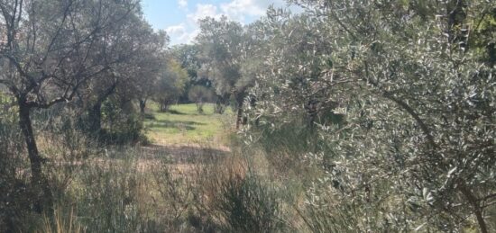 Terrain à bâtir à La Bastide-des-Jourdans, Provence-Alpes-Côte d'Azur
