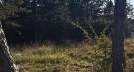 La Bastide-des-Jourdans Terrain à bâtir - 2479724-9917annonce120260409dN28N.jpeg Maisons Open