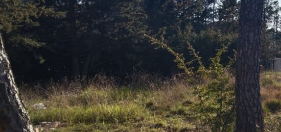 Terrain à bâtir à La Bastide-des-Jourdans, Provence-Alpes-Côte d'Azur