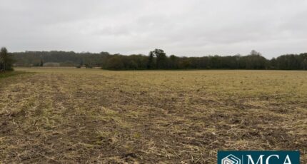 Mimbaste Terrain à bâtir - 2480022-5828annonce1202604014OD50.jpeg Maisons Open