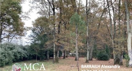 Le Taillan-Médoc Terrain à bâtir - 2480216-11071annonce120260409Zo7Q3.jpeg Maisons Open