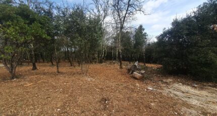 Labastide-de-Virac Terrain à bâtir - 2480368-11001annonce120260409nJB6z.jpeg Maisons Open