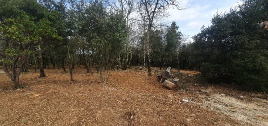 Terrain à bâtir à Labastide-de-Virac, Auvergne-Rhône-Alpes