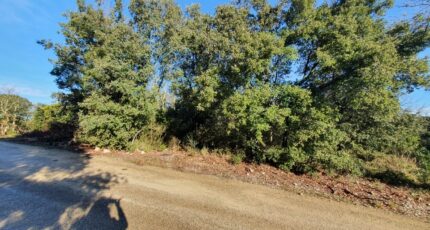 Labastide-de-Virac Terrain à bâtir - 2480368-11001annonce220260409QDxI0.jpeg Maisons Open