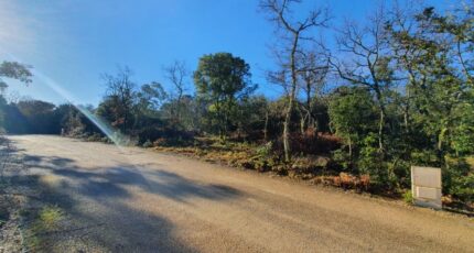 Labastide-de-Virac Terrain à bâtir - 2480368-11001annonce320260409aHTHc.jpeg Maisons Open