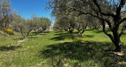 Vagnas Terrain à bâtir - 2480299-11001annonce120260409P0i34.jpeg Maisons Open