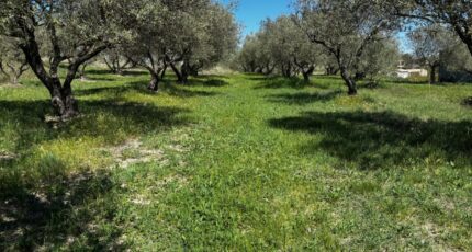 Vagnas Terrain à bâtir - 2480299-11001annonce220260409xEWHS.jpeg Maisons Open