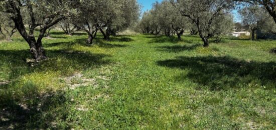 Terrain à bâtir à , Ardèche