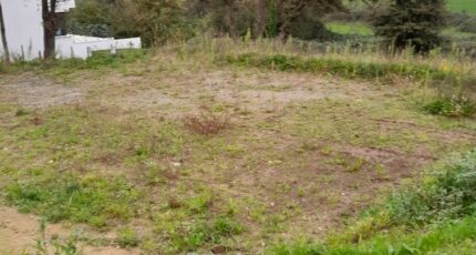 Rouans Terrain à bâtir - 2480063-11110annonce220260409fU3RG.jpeg Maisons Open