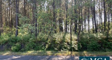 Sanguinet Terrain à bâtir - 2480534-5828annonce120250605BUgf4.jpeg Maisons Open