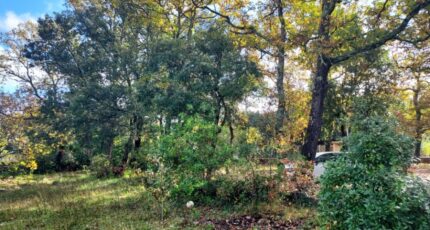 Garéoult Terrain à bâtir - 2480694-11137annonce120251211gAtqL.jpeg Maisons Open