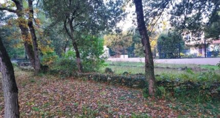 Garéoult Terrain à bâtir - 2480694-11137annonce42025121113T32.jpeg Maisons Open