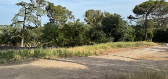 Terrain à bâtir à Cournonsec, Occitanie