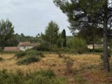  2445229-11455annonce120260302yeMDG.jpeg Maisons Open