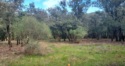 Sainte-Anastasie-sur-Issole Terrain à bâtir - 2480770-11137annonce120250407KWAuP.jpeg Maisons Open