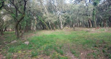 Sainte-Anastasie-sur-Issole Terrain à bâtir - 2480770-11137annonce2202504078t73m.jpeg Maisons Open