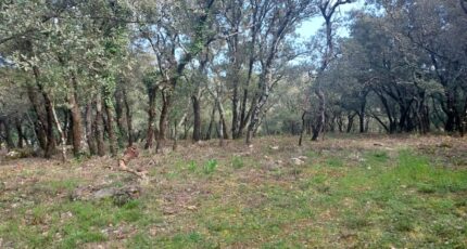 Sainte-Anastasie-sur-Issole Terrain à bâtir - 2480770-11137annonce320250407JcLEs.jpeg Maisons Open