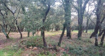 Sainte-Anastasie-sur-Issole Terrain à bâtir - 2480770-11137annonce420250407rAFyE.jpeg Maisons Open