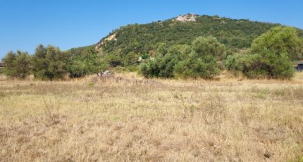 Gonfaron Terrain à bâtir - 2480793-11137annonce5202508131JHyv.jpeg Maisons Open